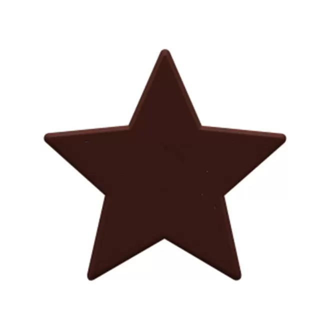 JETON DE FETES ET MANEGE PERSONNALISABLE 'FUNZY ETOILE' - marron - 9x9cm