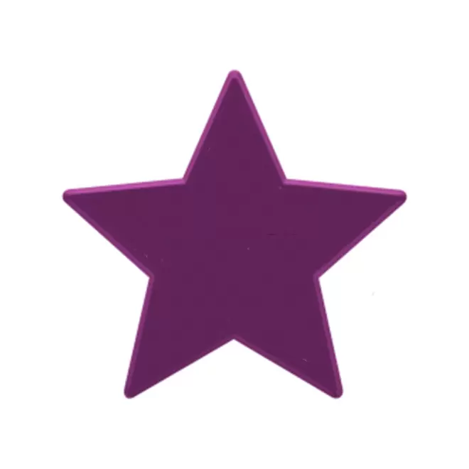 JETON DE FETES ET MANEGE PERSONNALISABLE 'FUNZY ETOILE' - violet foncé - 9x9cm