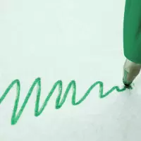 884041 | OPTION 'MINE VERTE'
