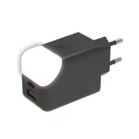 893914 | OPTION PRISE SECTEUR 65W 'ICE-G'