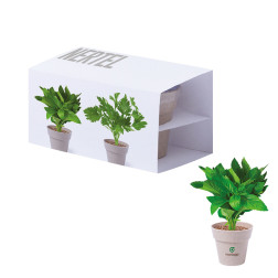 SET DE POTS DE GRAINES BIODEGRADABLE PERSONNALISABLE 'BIOFLY'