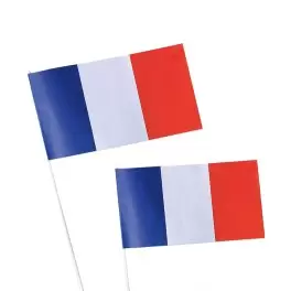 DRAPEAU EN PAPIER TRICOLORE FRANCE 'VAINQUEUR'