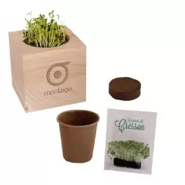 CUBE EN BOIS À GRAINES PERSONNALISÉ 'EPIA'
