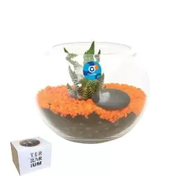 KIT TERRARIUM PLANTE PERSONNALISABLE 'TERRARIUS'