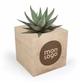 CUBE EN BOIS PERSONNALISABLE AVEC PLANTE OU ARBRE 'HARWOR'