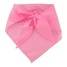 BANDANA PERSONNALISABLE 'WESTWILD'
