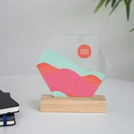 TROPHEE ACRYLIQUE ET BOIS PERSONNALISABLE 'UKITA WOOD'