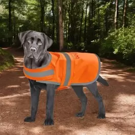 GILET DE VISIBILITE CHIEN PERSONNALISABLE 'FLUOSAFE DOG'