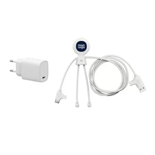 PACK DE CÂBLE ET PRISE PUBLICITAIRE XOOPAR® 'MR BIO FASTCHARGE PRISE30W' 