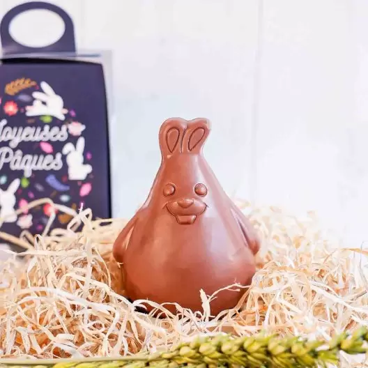 MOULAGE EN CHOCOLAT BIO NOIR OU AU LAIT PERSONNALISÉ LPCC® 'CHOCO'