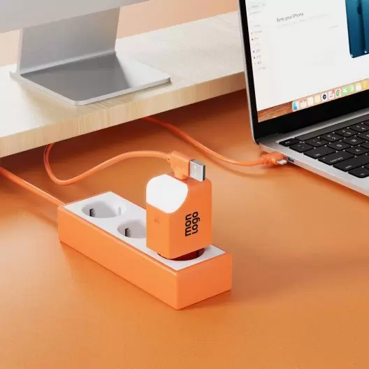 PRISE CHARGEUR SECTEUR 65W PERSONNALISABLE 'ICE P'