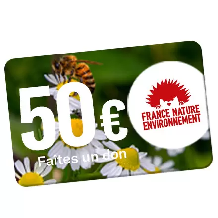 OBJETRAMA REVERSE UN DON DE 50€ A FNE !