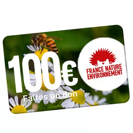 OBJETRAMA REVERSE UN DON DE 100€ A FNE !