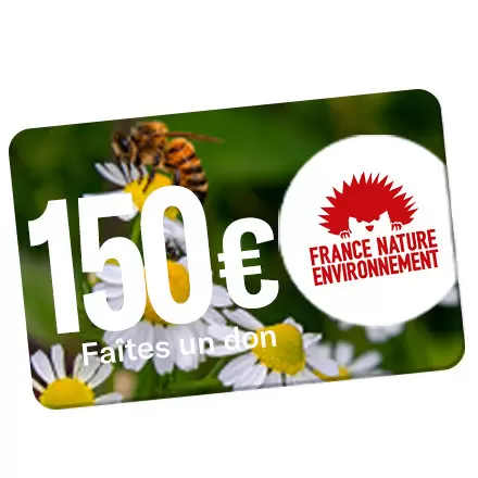 OBJETRAMA REVERSE UN DON DE 150€ A FNE !