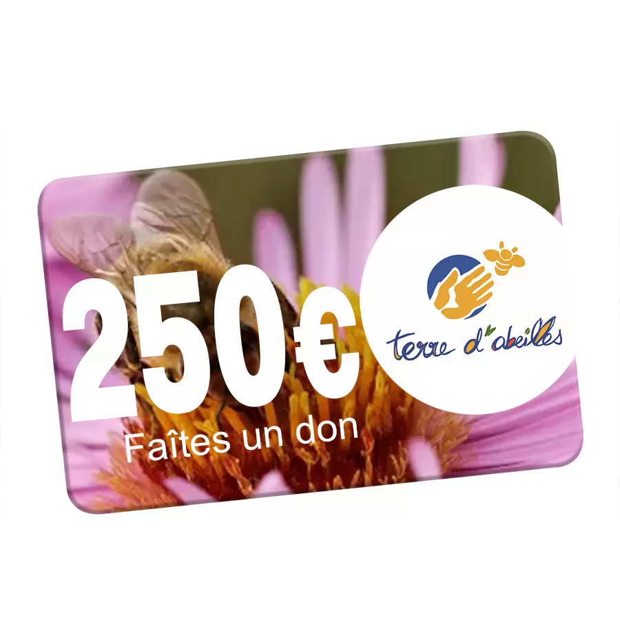 OBJETRAMA REVERSE UN DON DE 250€ A TERRE D'ABEILLES !