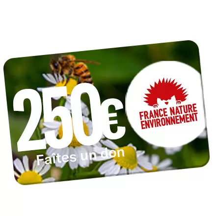OBJETRAMA REVERSE UN DON DE 250€ À LA FNE !