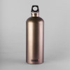GOURDE EN ALUMINIUM SIGG 1L PERSONNALISABLE 'TRAVELLER'