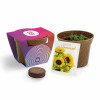 KIT PERSONNALISABLE DE PALNTATION JARDIN ECOLO 'RELIS'