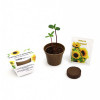 KIT PERSONNALISABLE DE PALNTATION JARDIN ECOLO 'RELIS'