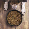 BOL PERSONNALISABLE POUR ANIMAUX 'ACHILLE'