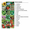KIT DE PLANTATION PERSONNALISABLE 'POPPY QUADRI TRIO'