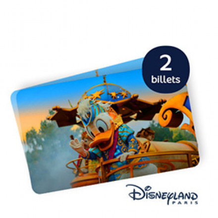 2 BILLETS ADULTE DISNEYLAND
