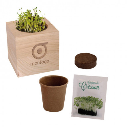 CUBE EN BOIS À GRAINES PERSONNALISÉ 'EPIA'