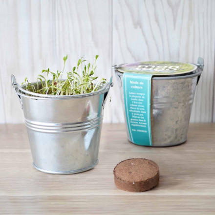 KIT PLANTATION POT ZINC MIF PUBLICITAIRE 8ø 'PLANTOU'