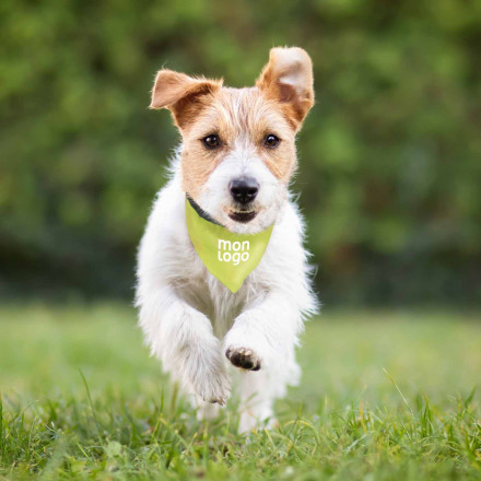 COLLIER VISIBILITE ANIMAUX PERSONNALISABLE 'DOGGY'