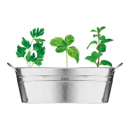 BAC À PLANTES PERSONNALISÉ 'BASILICA' - argenté mat