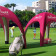 TENTE GONFLABLE PUBLICITAIRE 4X4M 'INUITE'