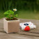 KIT PLANTATION PUBLICITAIRE SACHET PAPIER BLANC 'MUNDA QUADRI' 