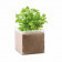 KIT PLANTATION PUBLICITAIRE SACHET PAPIER BLANC 'MUNDA QUADRI' 