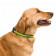 COLLIER PERSONNALISABLE POUR ANIMAUX 'FRIZON'