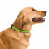 COLLIER PERSONNALISABLE POUR ANIMAUX 'FRIZON'