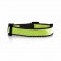 COLLIER PERSONNALISABLE POUR ANIMAUX 'FRIZON'