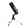 MICROPHONE PERSONNALISABLE USB PORTATIF LIVOO® 'MICROLA'