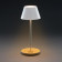 LAMPE RECHARGEABLE PUBLICITAIRE 'LUMINOTE'