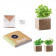 KIT DE PLANTATION PERSONNALISABLE EN SACHET DÉPLIABLE 'MUNDA'