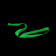 TOUR DE COU PHOSPHORESCENT PERSONNALISE 'LUNGO PHOSPHO'