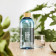 BOUTEILLE RPET 500 ML PERSONNALISABLE 'DRIBOO' 