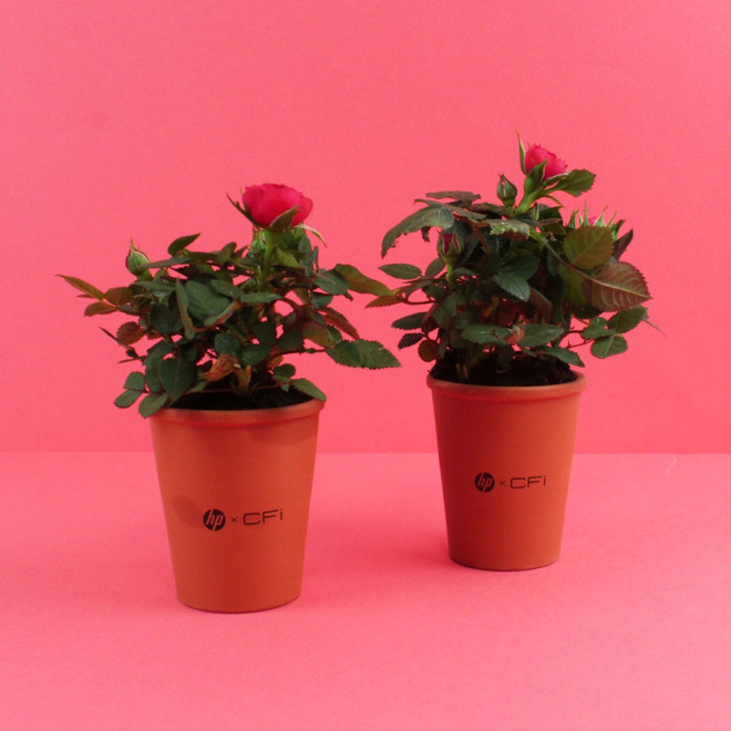 MINI PLANTE FLEURIE EN POT TERRE PERSONNALISABLE 'LIMIFO'