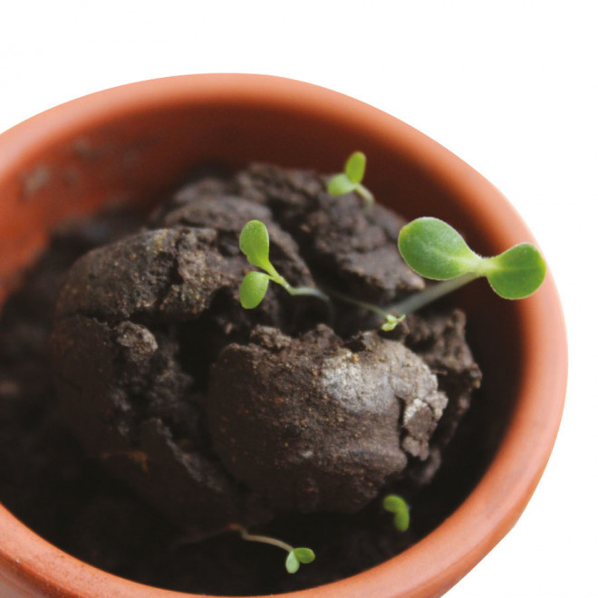 BOMBE À GRAINES PUBLICITAIRE 'BOULY'