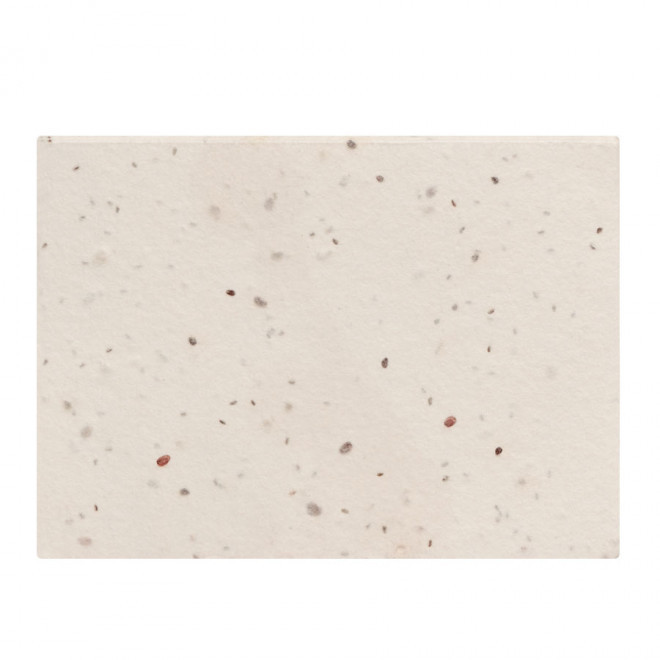 BLOC NOTES ECOLOGIQUE PERSONNALISABLE 50 FEUILLES 'GRAINUS'