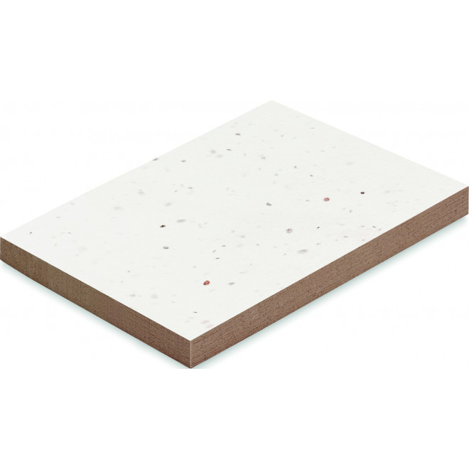 BLOC NOTES ECOLOGIQUE PERSONNALISABLE 50 FEUILLES 'GRAINUS'