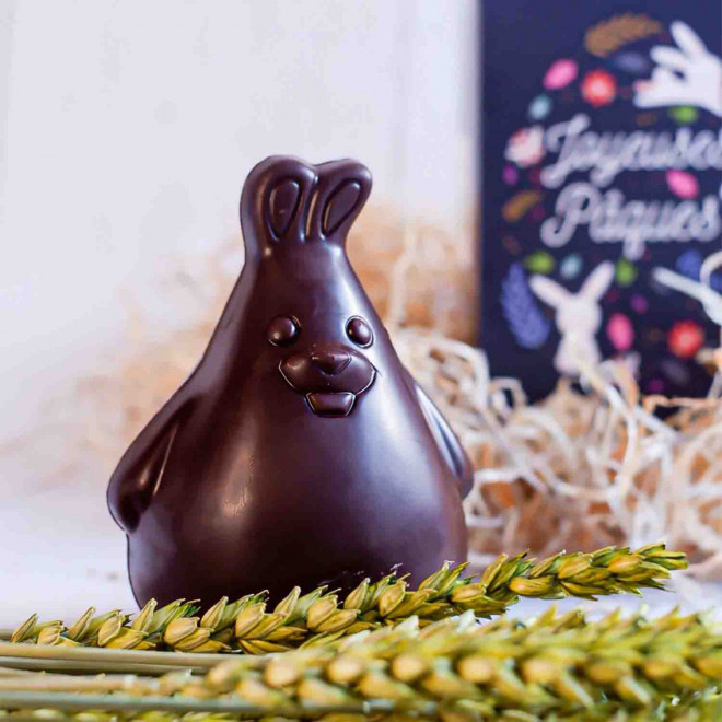 MOULAGE EN CHOCOLAT BIO NOIR OU AU LAIT PERSONNALISÉ LPCC® 'CHOCO'