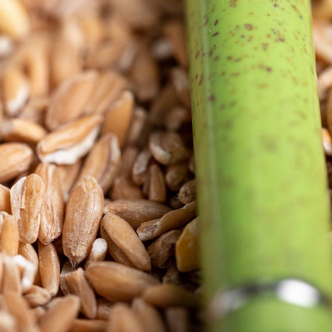 STYLO PERSONNALISABLE 'RIO BLE'