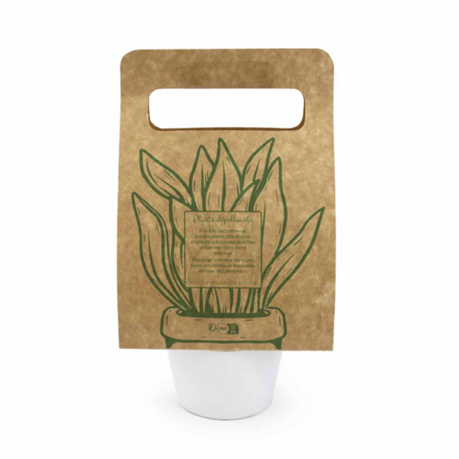 PLANTE DEPOLLUANTE POT CERAMIQUE PUBLICITAIRE 'SAIRA'