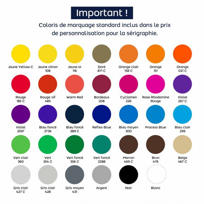 GRATTOIR PUBLICITAIRE POUR PARE BRISE 'KILLI' 