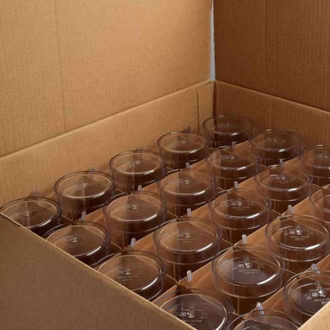 CHOPE DE BIERE PERSONNALISÉ TRITAN® 'BIBINE'